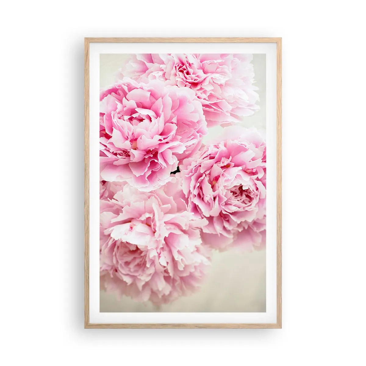 Poster in cornice rovere chiaro - Nel fasto rosa - 61x91 cm