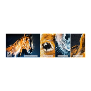 Campione di Fotomurale Premium Canvas - Allora, andiamo? - Animali, Cavallo, Cavalla - 100x30 cm