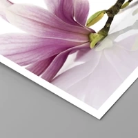 Senza cornice
