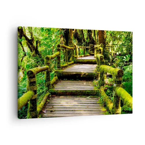 Quadro su tela - Stampe su Tela - Un ponte di legno ricoperto di muschio in una foresta pluviale tropicale - 70x50cm - Un corridoio nel verde - Decorazione murale moderna per soggiorno e camera da letto ARTTOR