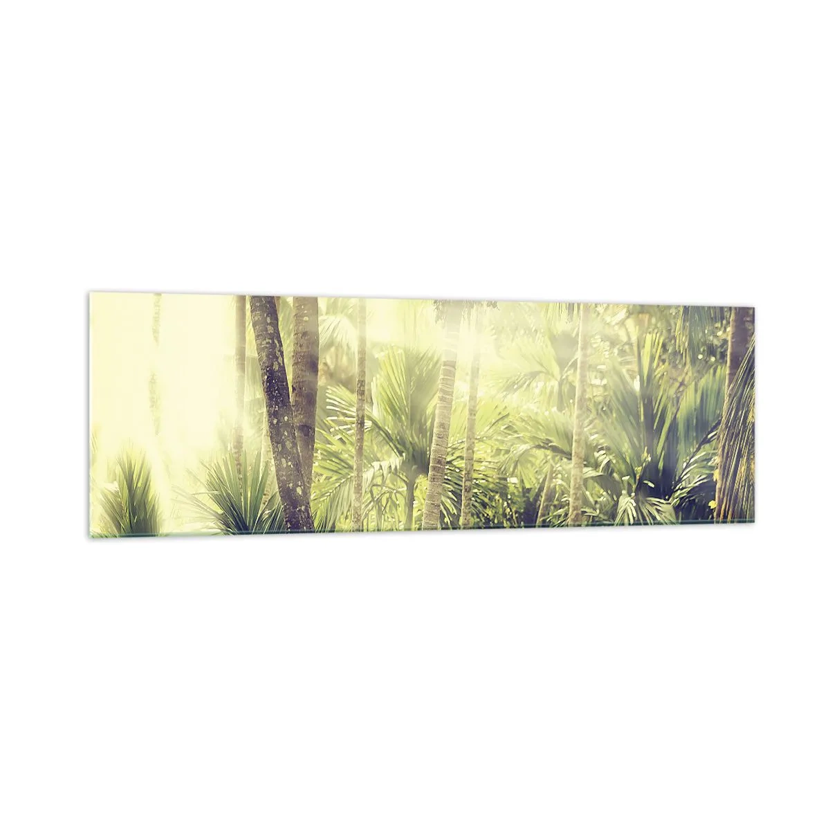 Quadro su vetro - Raggi di sole in una foresta tropicale di palme - 160x50cm - Nell'afa verde - Decorazione murale moderna per soggiorno e camera da letto ARTTOR