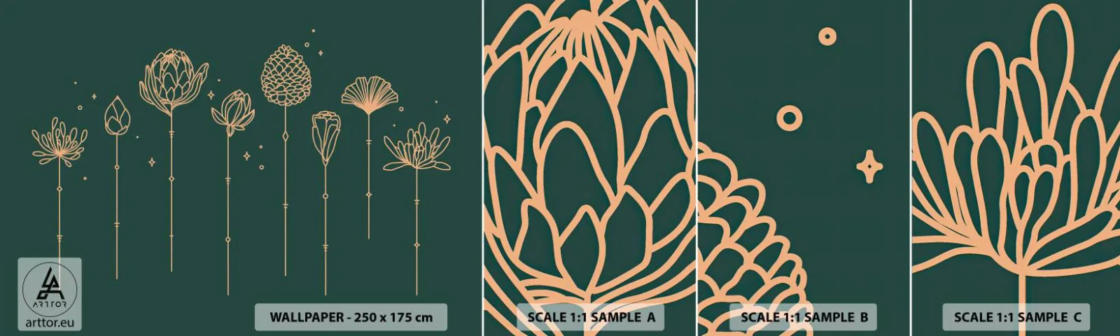 Campione Di Fotomurale Standard Eco - La famiglia delle erbe - Fiori, Art Deco, Minimalista - 100x30 cm