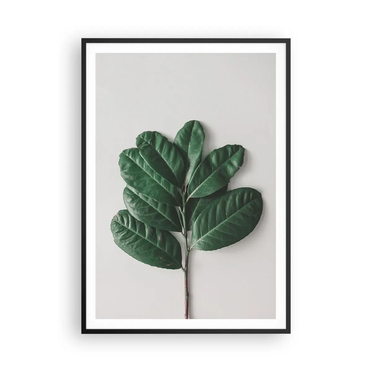 Poster in cornice nera - Il disegno della natura stessa - 70x100 cm