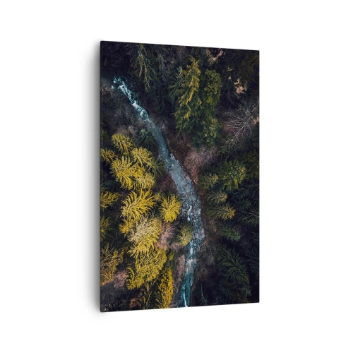 Quadro su tela - Stampe su Tela - Una vista dall'alto di una foresta con un fiume tortuoso - 80x120cm - Sempre più veloce - Decorazione murale moderna per soggiorno e camera da letto ARTTOR