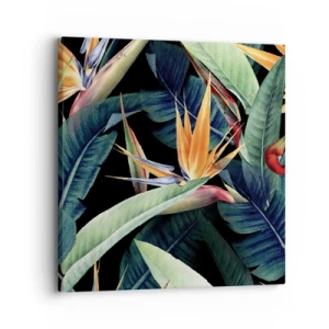 Quadro su tela - Stampe su Tela - I fiori fiammeggianti dei tropici - 30x30 cm
