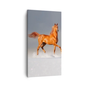 Quadro su tela - Stampe su Tela - Grazia danzante - 45x80 cm