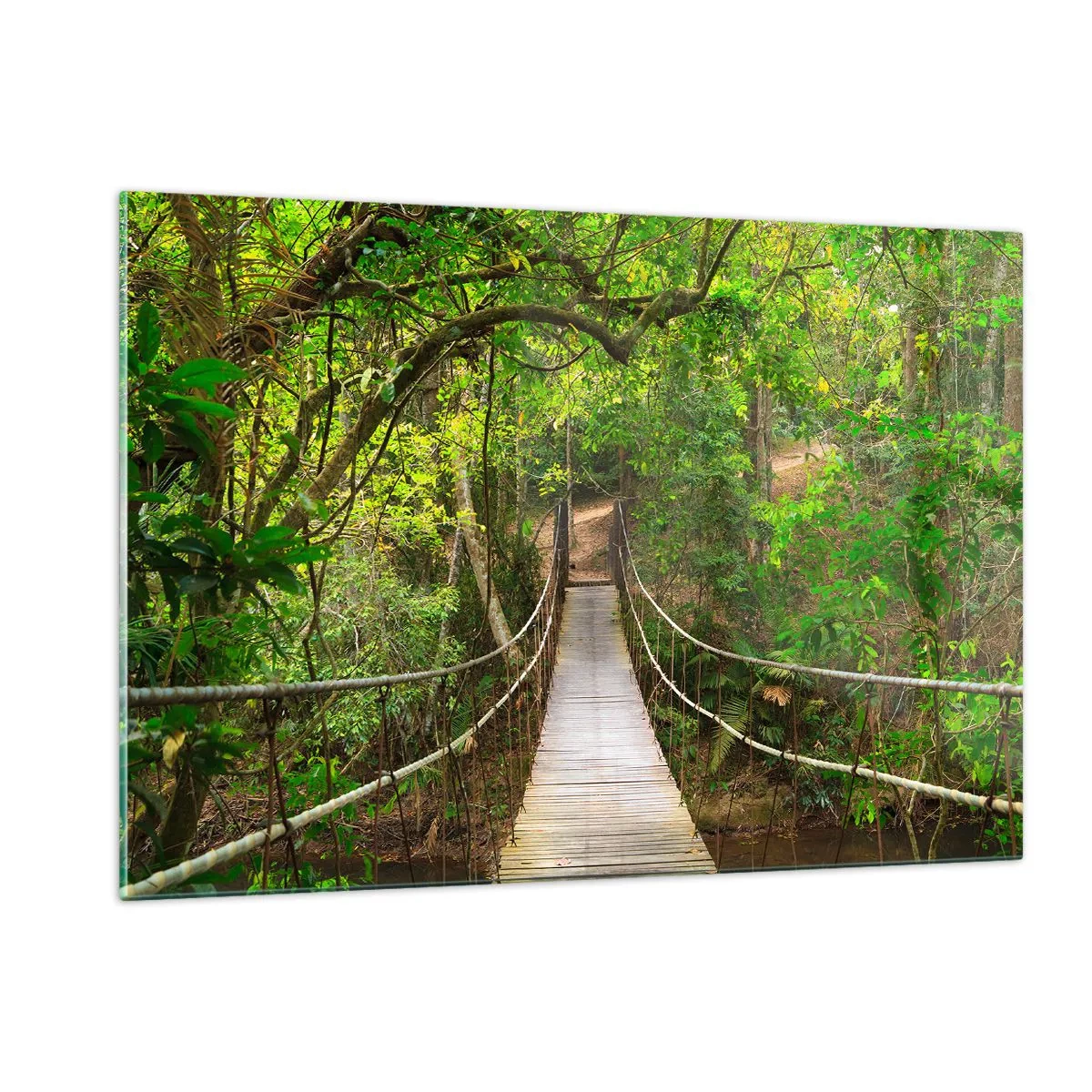 Quadro su vetro - Ponte sospeso in una foresta tropicale - 120x80cm - Perché nel giardino crescono i rampicanti - Decorazione murale moderna per soggiorno e camera da letto ARTTOR