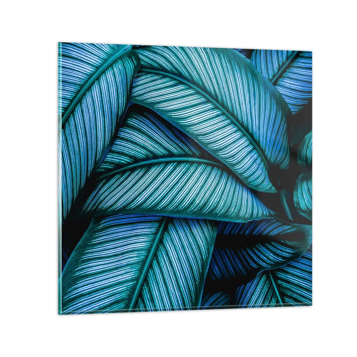 Quadro su vetro - Le linee della vita - 50x50 cm