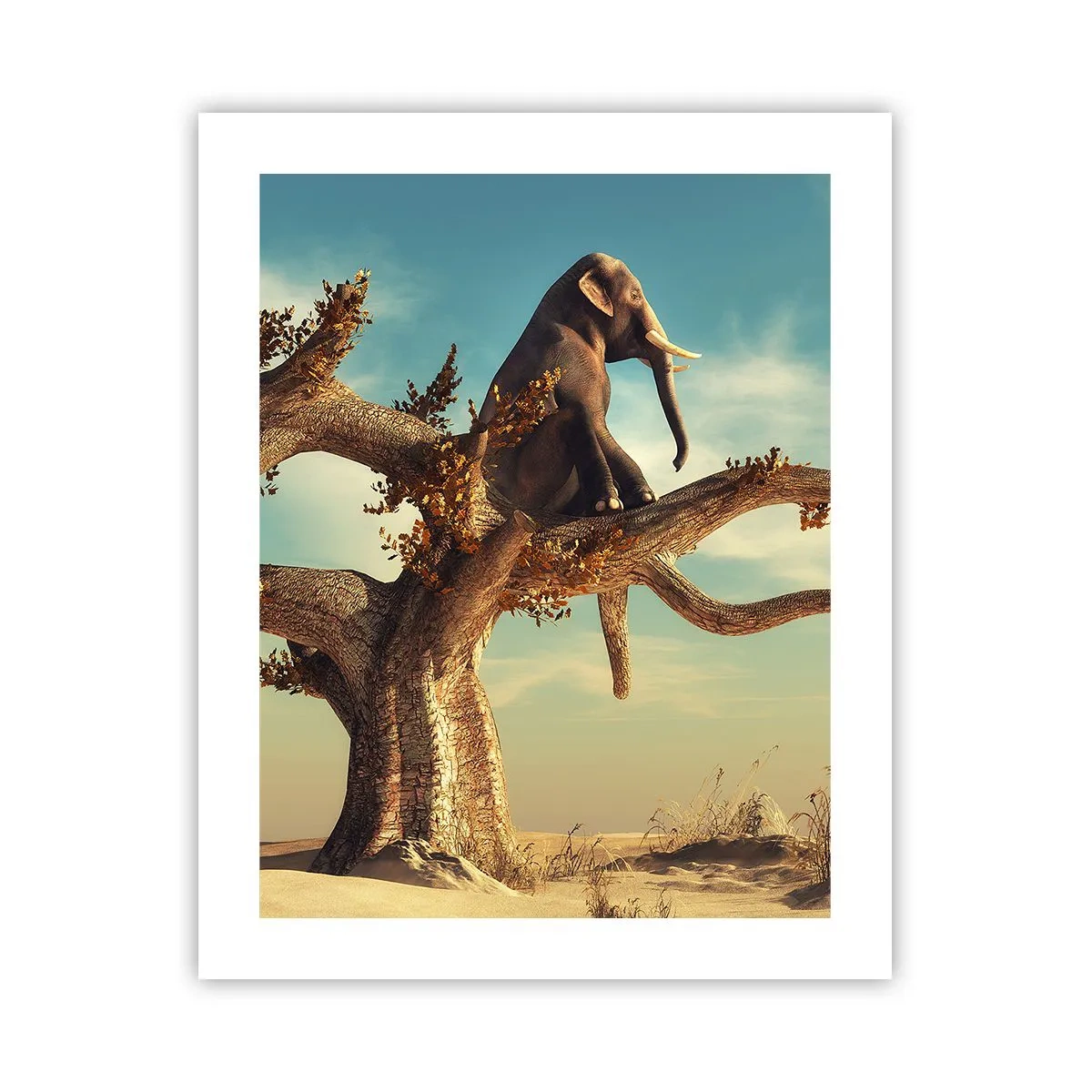 Poster - Nuovo punto di vista - 40x50 cm