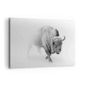 Quadro su tela - Stampe su Tela - Bisonte bianco in un ambiente minimalista - 100x70cm - Il re della prateria - Decorazione murale moderna per soggiorno e camera da letto ARTTOR