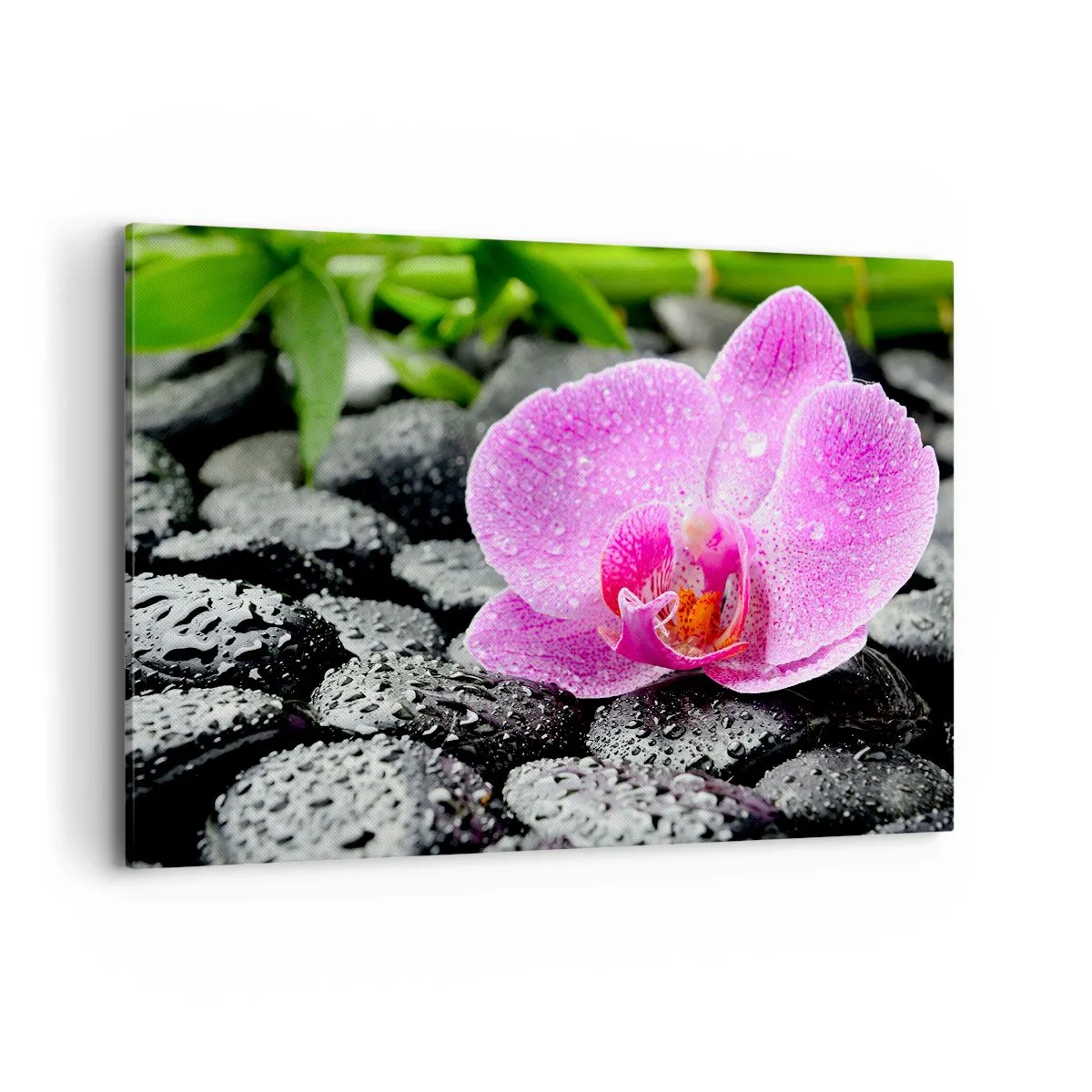 Quadro su tela - Stampe su Tela - Orchidea rosa su pietre nere bagnate con foglie verdi - 120x80cm - Come un cuore aperto - Decorazione murale moderna per soggiorno e camera da letto ARTTOR