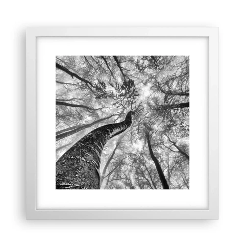 Poster in cornice bianca - La corsa verso la luce - 30x30 cm