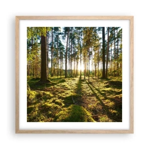 Poster in cornice rovere chiaro - …dopo sette foreste - 50x50 cm