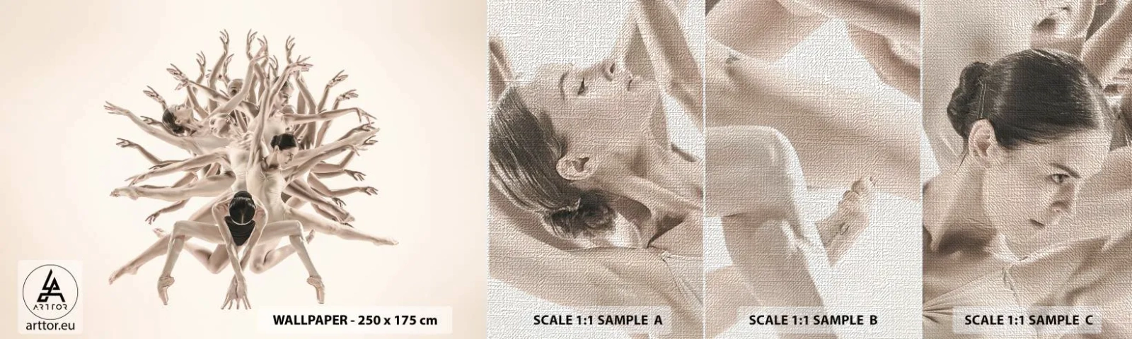 Campione di Fotomurale Premium Canvas - Fiorendo nella danza - Astrazione, Pezzo, Balletto - 100x30 cm