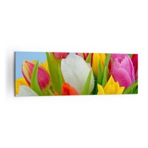 Quadro su tela - Stampe su Tela - Tulipani colorati ricoperti di gocce di rugiada su uno sfondo blu - 160x50cm - Fiori multicolori nella rugiada - Decorazione murale moderna per soggiorno e camera da letto ARTTOR