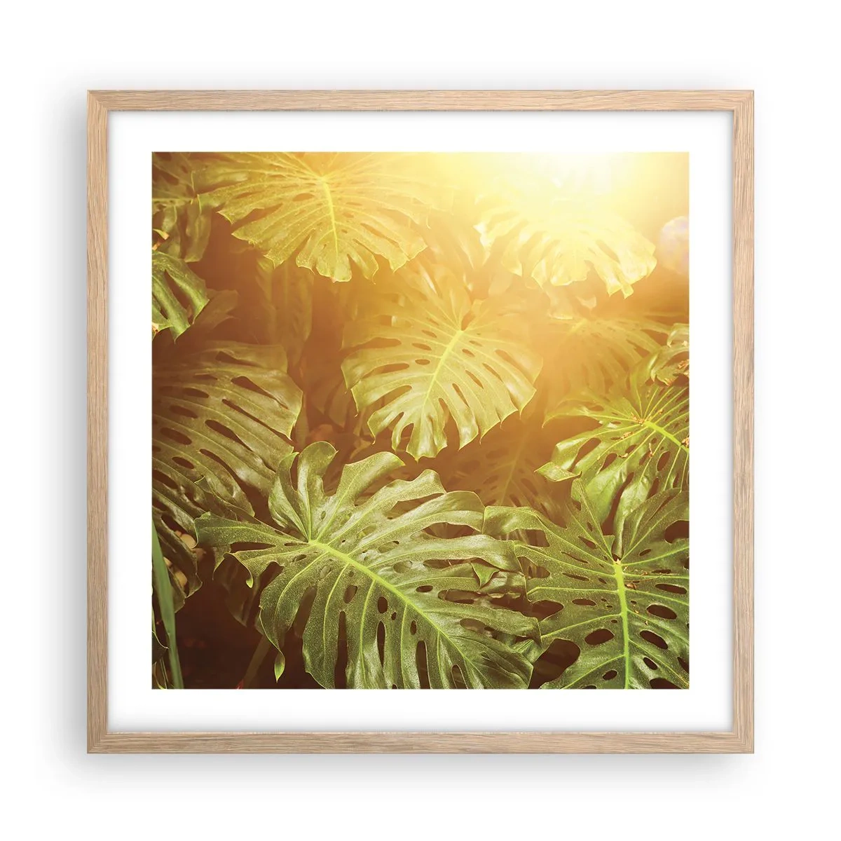 Poster in cornice rovere chiaro - Entrando nel verde... - 50x50 cm