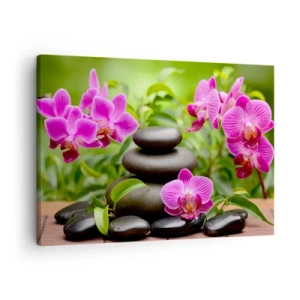 Quadro su tela - Stampe su Tela - Orchidee rosa con pietre su sfondo verde - 70x50cm - Piramide di pace - Decorazione murale moderna per soggiorno e camera da letto ARTTOR