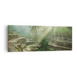 Quadro su tela - Stampe su Tela - Terrazze di riso con palme sotto i raggi del sole - 140x50cm - Crescere al sole - Decorazione murale moderna per soggiorno e camera da letto ARTTOR