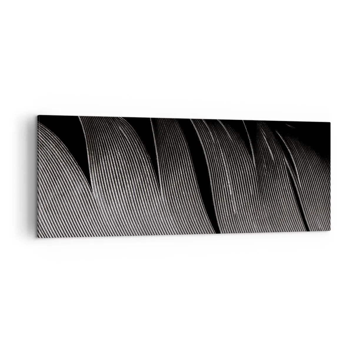 Quadro su tela - Stampe su Tela - Texture di piume bianche e nere in stile minimalista - 140x50cm - Piuma: struttura meravigliosa - Decorazione murale moderna per soggiorno e camera da letto ARTTOR