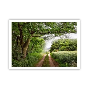 Poster - Una strada sterrata tra alberi verdi e luce solare - 100x70cm - Et in Arcadia ego - Decorazione murale moderna per soggiorno e camera da letto ARTTOR