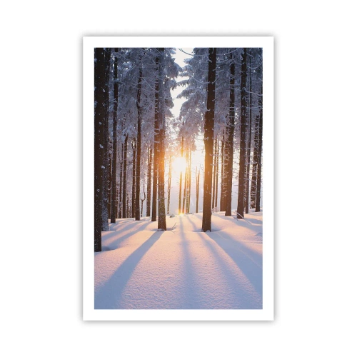 Poster - Decisamente nero su bianco - 61x91 cm