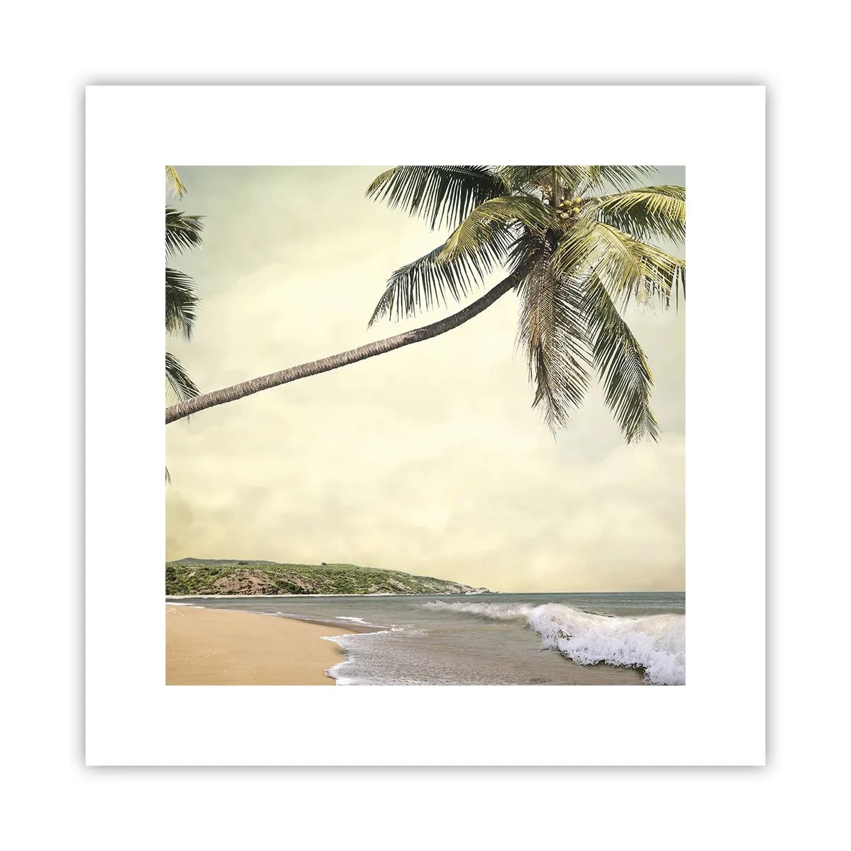 Poster - Sogno tropicale - 30x30 cm