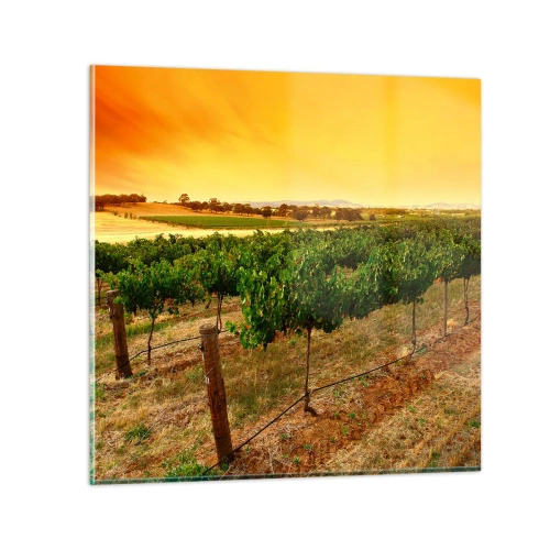 Quadro su vetro - Ubriacarsi di sole - 30x30 cm