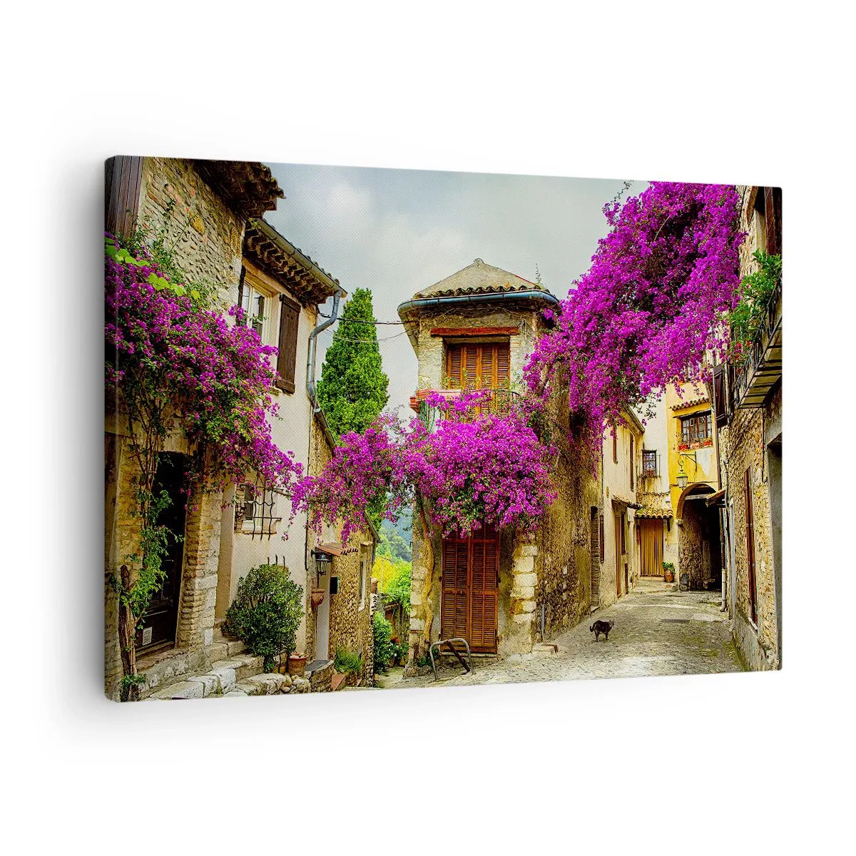 Quadro su tela - Stampe su Tela - Sotto un baldacchino di fiori - 70x50 cm