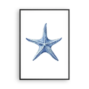 Poster in cornice nera - Stella marina - 70x100 cm