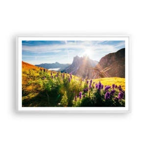 Poster in cornice bianca - La vita segreta delle erbe - 91x61 cm