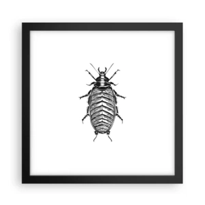 Poster in cornice nera - Che esemplare! - 30x30 cm