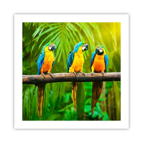 Poster - Hai sentito che ha fatto? - 50x50 cm