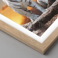 Rovere chiaro