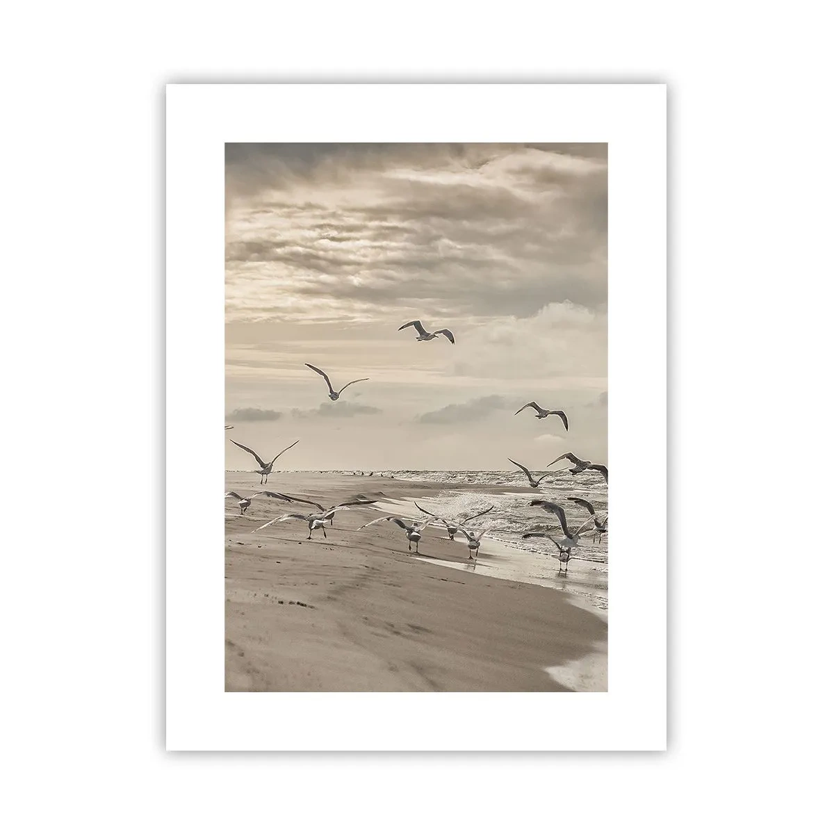 Poster - Brusio del mare, canto degli uccelli - 30x40 cm