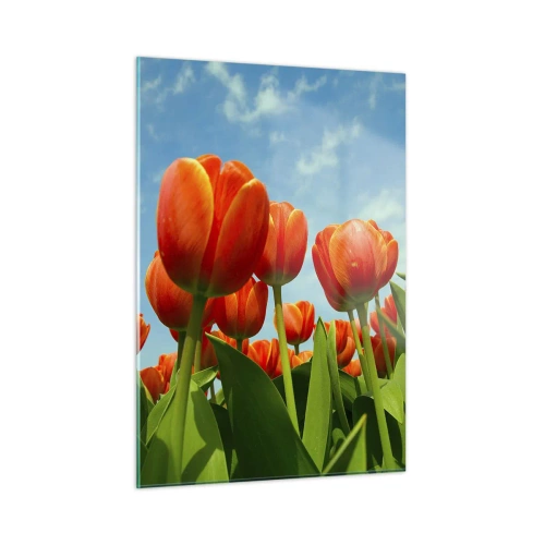 Quadro su vetro - Un campo di tulipani rossi sotto un cielo azzurro - 50x70cm - A loro non serve nulla oltre al cielo azzurro - Decorazione murale moderna per soggiorno e camera da letto ARTTOR