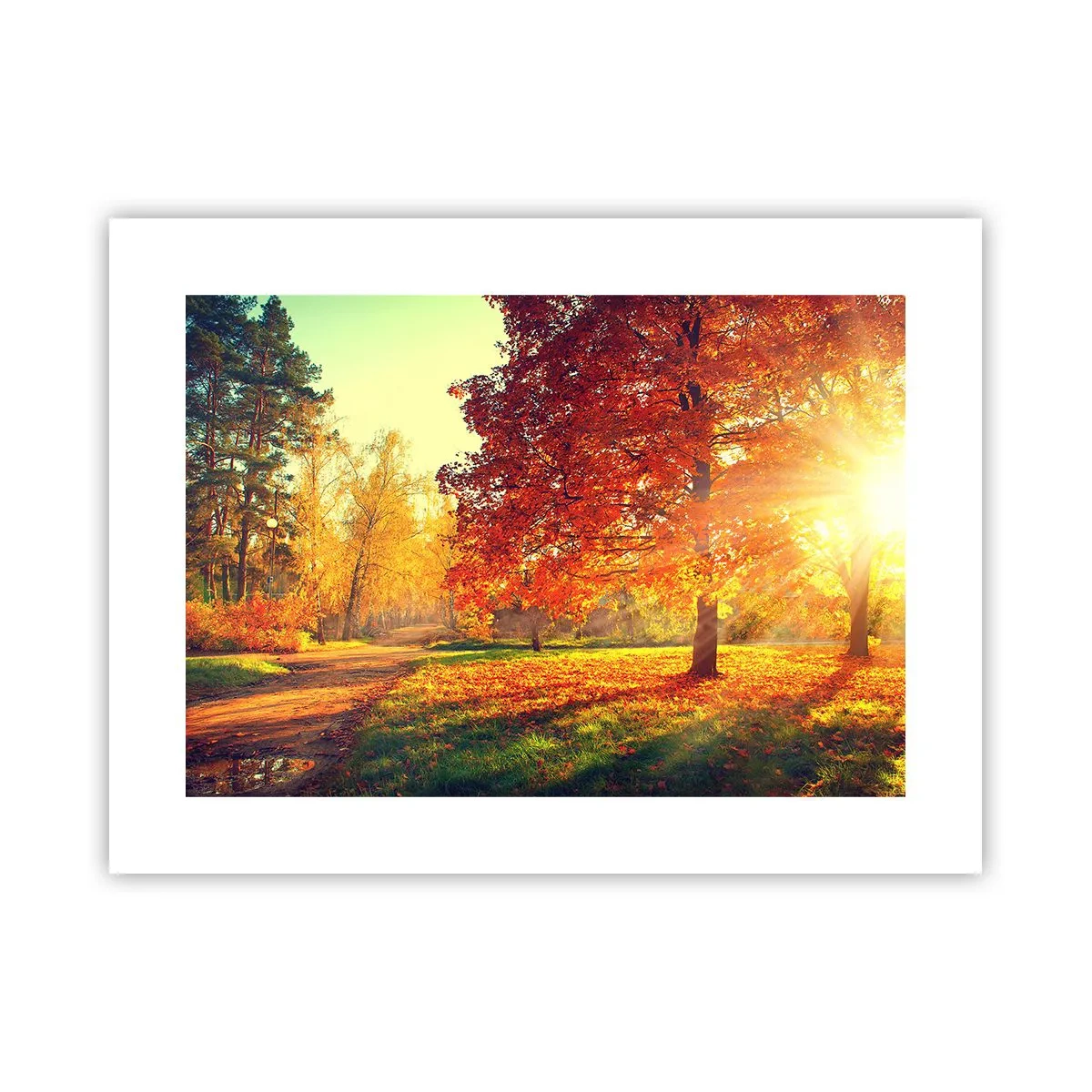 Poster - Rosso è bello - 40x30 cm