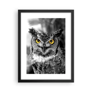 Poster in cornice nera - Non si può nascondere niente - 30x40 cm