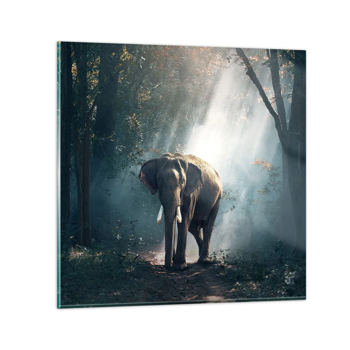 Quadro su vetro - Tranquilla passeggiata - 40x40 cm