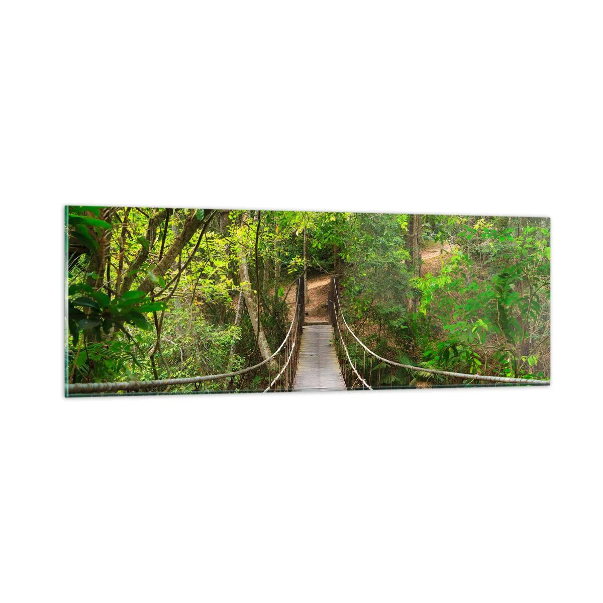 Quadro su vetro - Perché nel giardino crescono i rampicanti - 90x30 cm