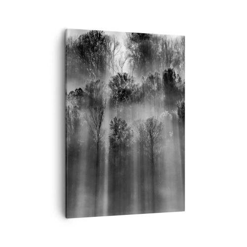 Quadro su tela - Stampe su Tela - Foresta in bianco e nero alla luce del mattino - 50x70cm - Nei getti di luce - Decorazione murale moderna per soggiorno e camera da letto ARTTOR
