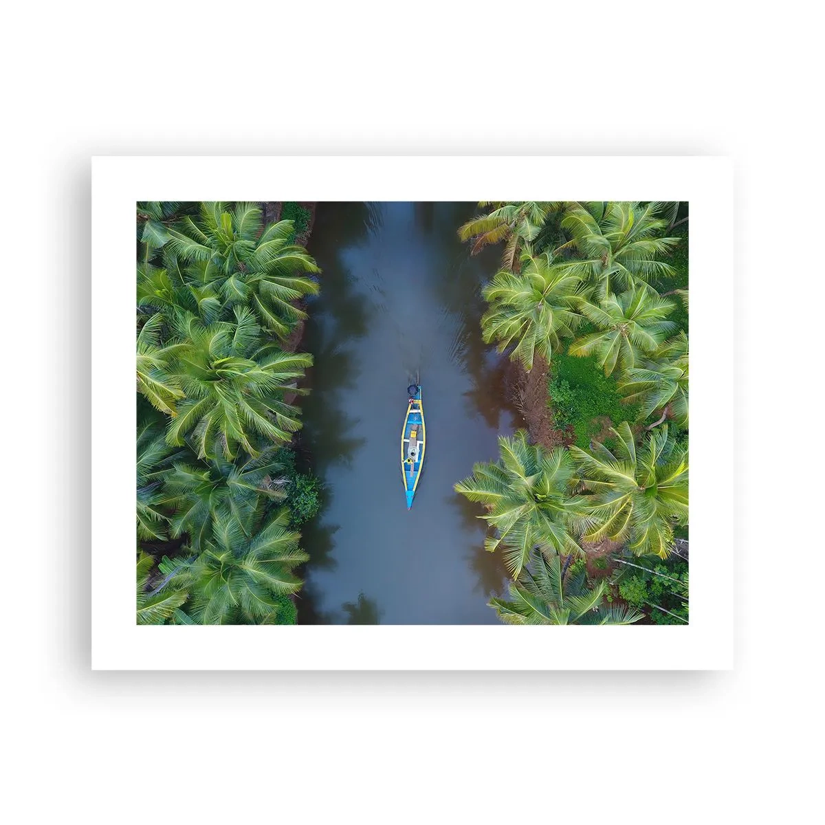 Poster - Sul percorso tropicale - 50x40 cm