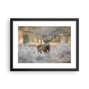 Poster in cornice nera - Fresco mattino - 40x30 cm