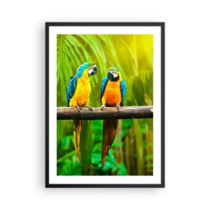 Poster in cornice nera - Pappagalli dai colori vivaci in un ambiente tropicale - 50x70cm - Hai sentito che ha fatto? - Decorazione murale moderna per soggiorno e camera da letto ARTTOR