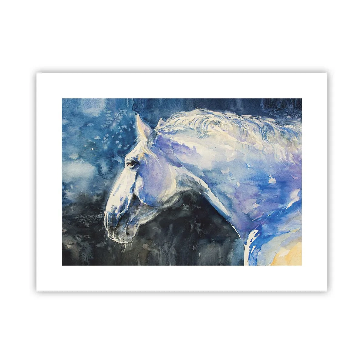 Poster - Ritratto in luce blu - 40x30 cm