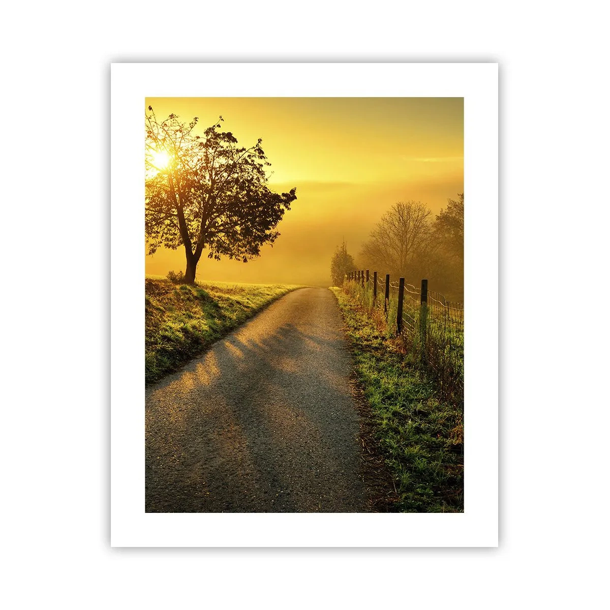 Poster - Pomeriggio di miele - 40x50 cm