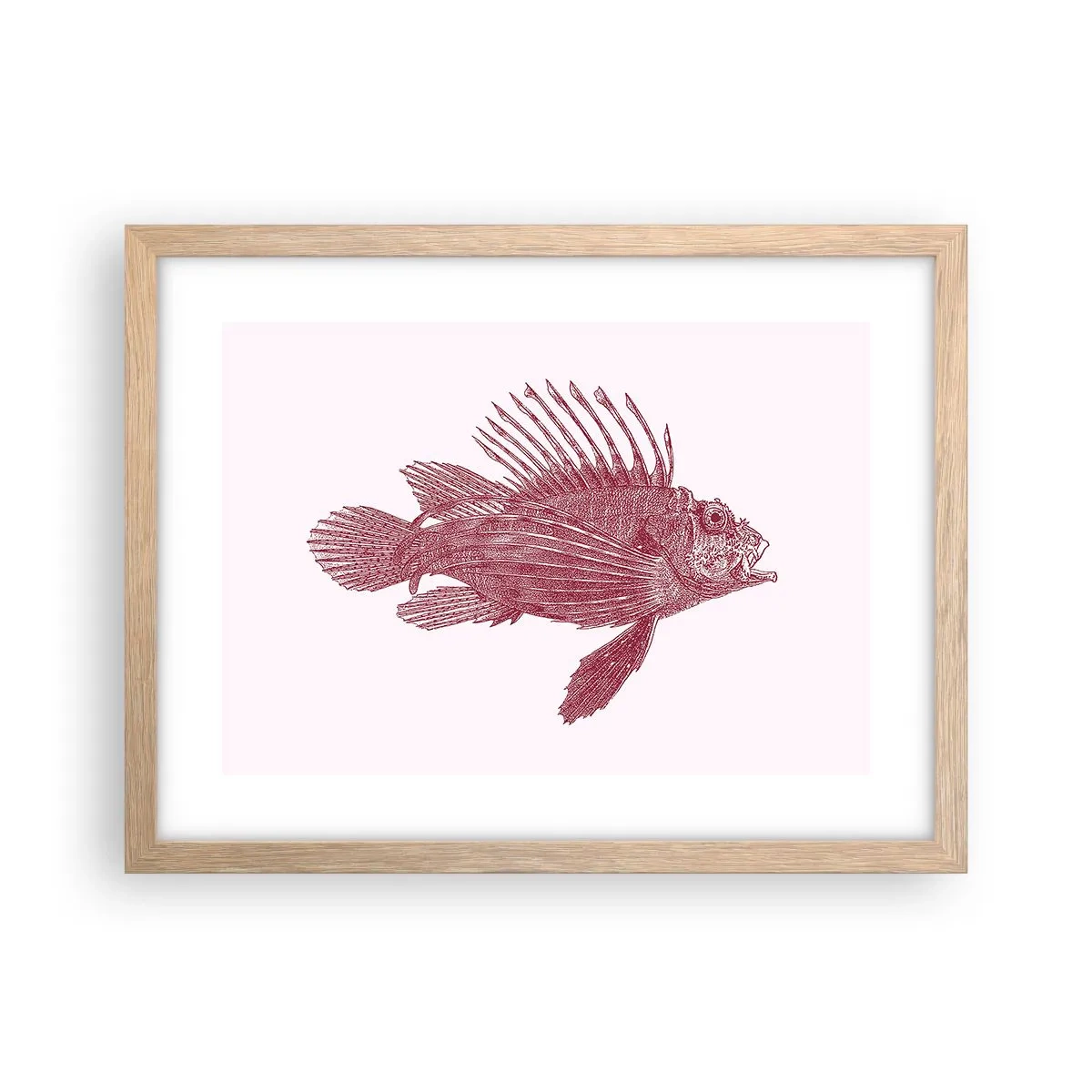 Poster in cornice rovere chiaro - Abitante di mari esotici - 40x30 cm