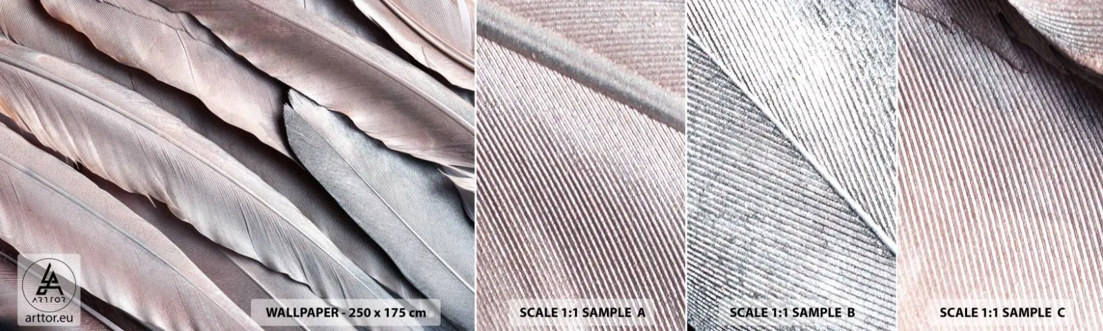 Campione Di Fotomurale Standard Eco - Argento rosato - Piuma d'uccello, Grafica, Boho - 100x30 cm