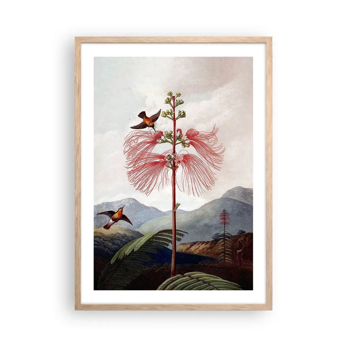 Poster in cornice rovere chiaro - Nel paradiso tropicale - 50x70 cm