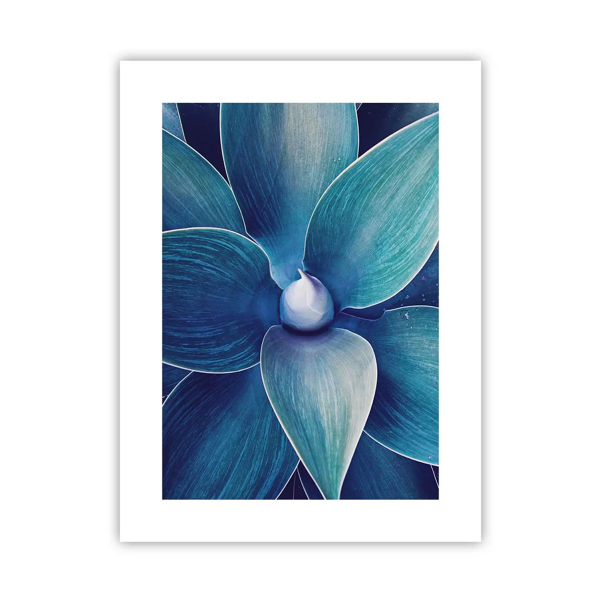 Poster - Imbluito dal sole - 30x40 cm
