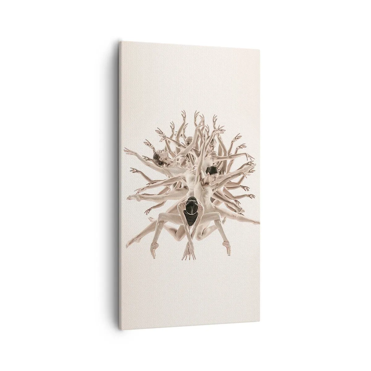 Quadro su tela - Stampe su Tela - Fiorendo nella danza - 55x100 cm